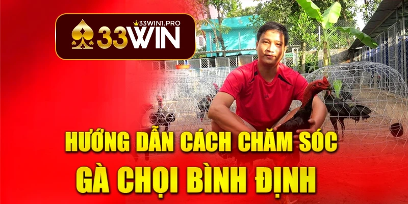 33win gà chọi Bình Định